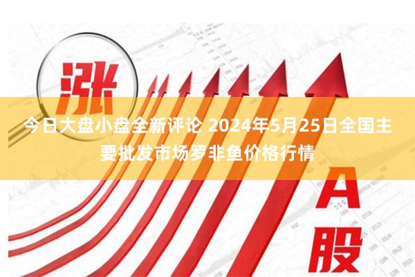 今日大盘小盘全新评论 2024年5月25日全国主要批发市场罗非鱼价格行情