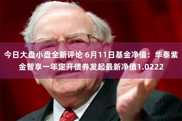 今日大盘小盘全新评论 6月11日基金净值：华泰紫金智享一年定开债券发起最新净值1.0222