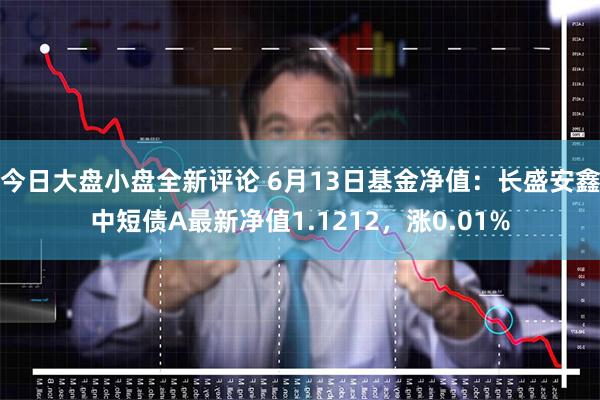 今日大盘小盘全新评论 6月13日基金净值：长盛安鑫中短债A最新净值1.1212，涨0.01%